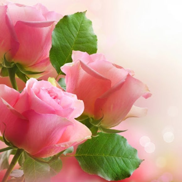 Meet your Posher, Michelle (Buyer!!) - Picture 3 of 3